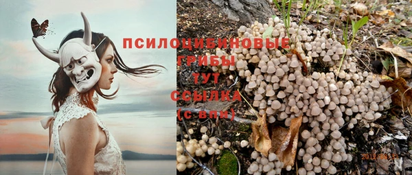 круглые Армянск