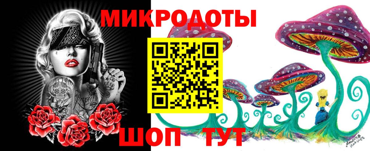 как найти   Галлюциногенные грибы Psilocybine cubensis  Вход с VPN  Лениногорск 